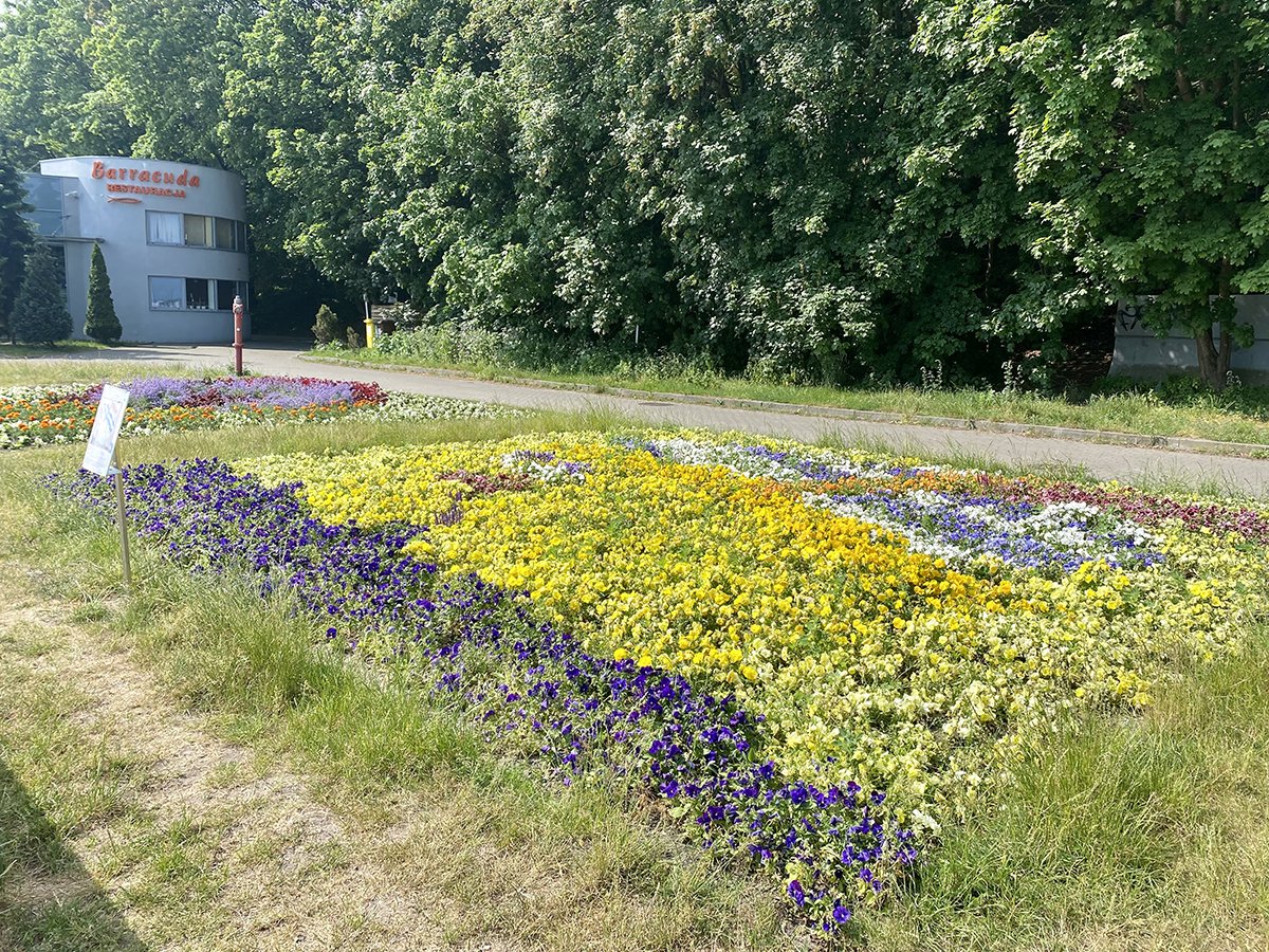 Kwietnik przy bulwarze Nadmorskim zrealizowany na podstawie pracy Nataszy Skrzypczak i Tymoteusza Dobrzyńskiego z klasy 3 B SP Jezuitów w Gdyni - zwycięzców w kategori klas I-III w 9. edycji konkursu 