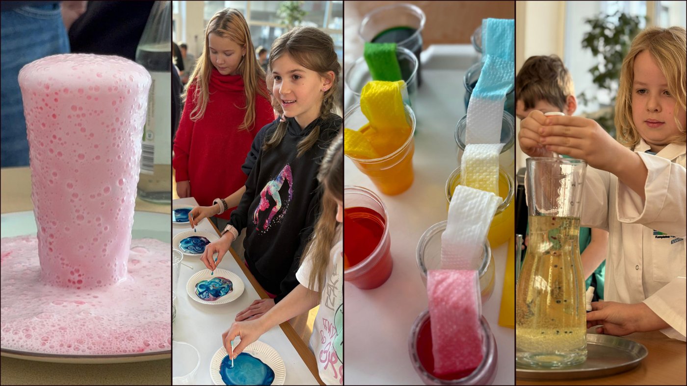 Szkolny Festiwal Nauki w Gdyni. Na zdjęciu prezentacje w SP 21 (fot. SP 21)