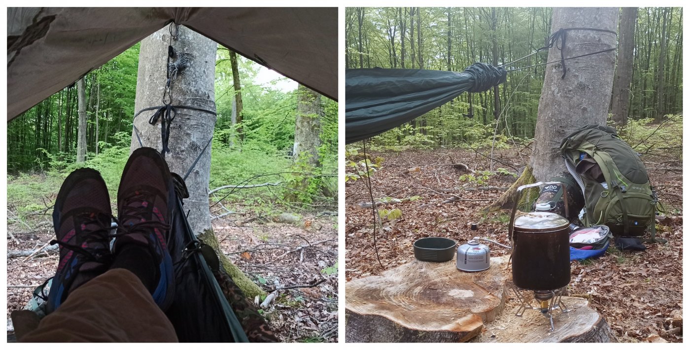 Pilotażowy obszar bushcraftu w Nadleśnictwie Gdańsk. Fot. Witold Ciechanowicz