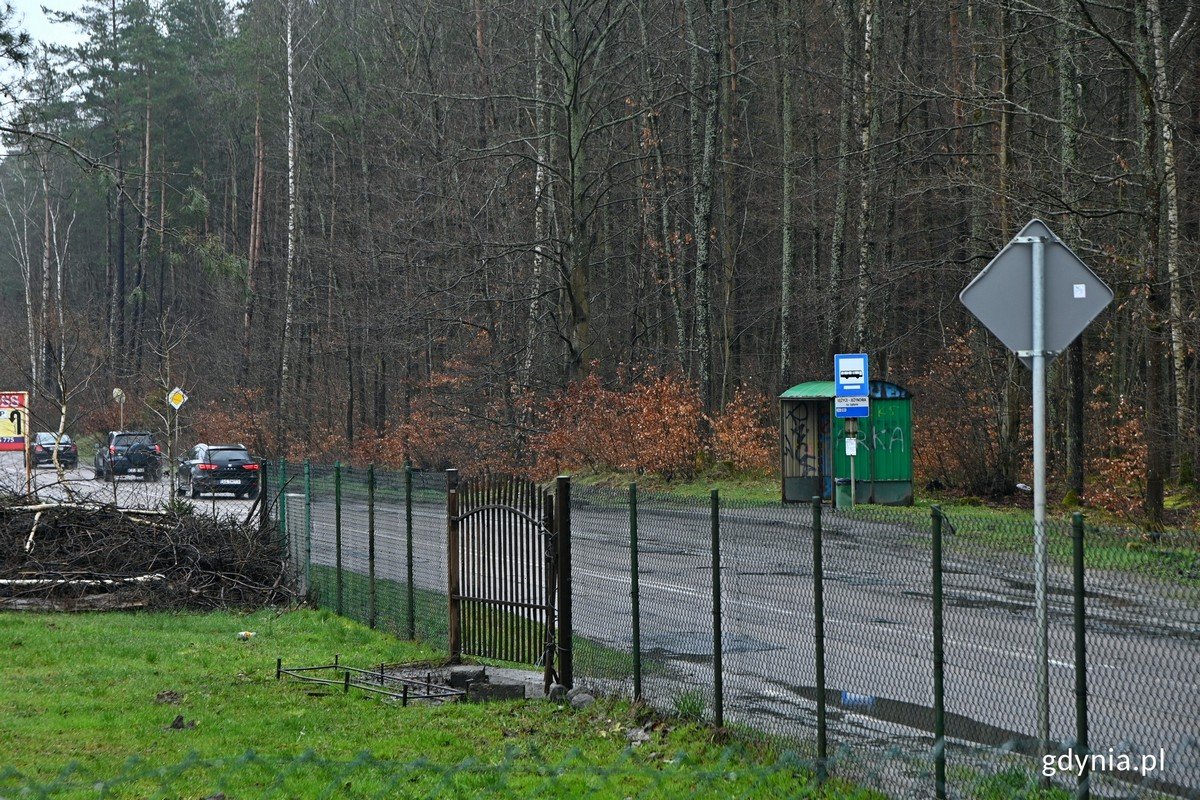 droga i wiata przystankowa w Łężycach // fot. M. Czernek