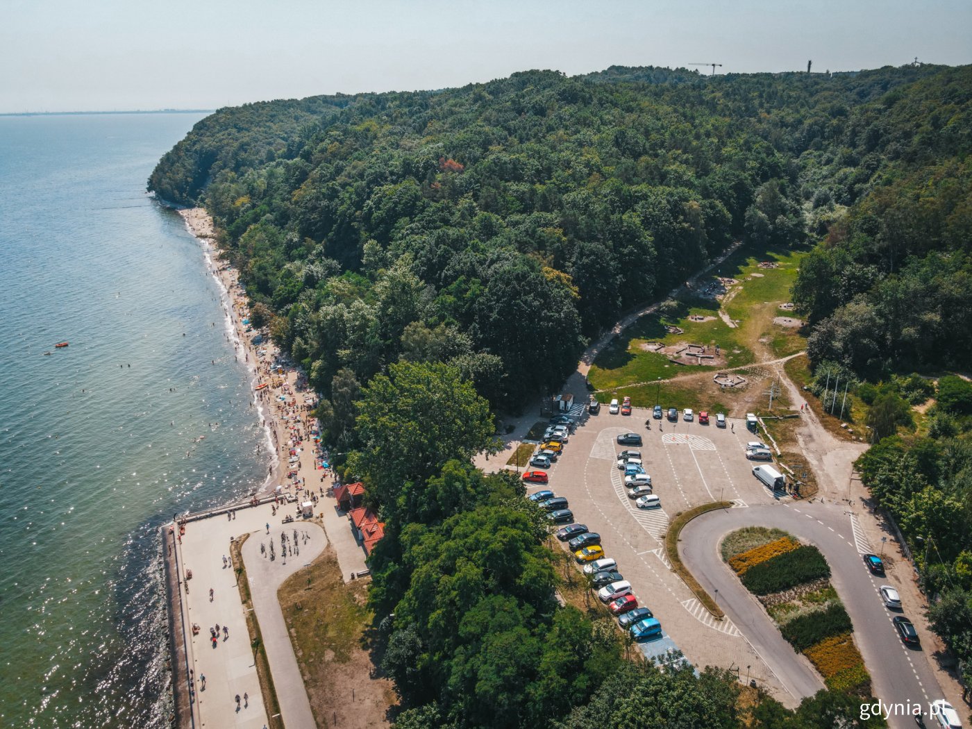 Wyjątkowe miejsce wymaga starannych przygotowań do jego zagospodarowania. Polanka Redłowska (na zdjęciu) było poddana szczegółowej obserwacji, na podstawie której powstały raporty - te posłużą za podstawę do opracowania nowych koncepcji, fot. Marcin Mielewski / archiwalne