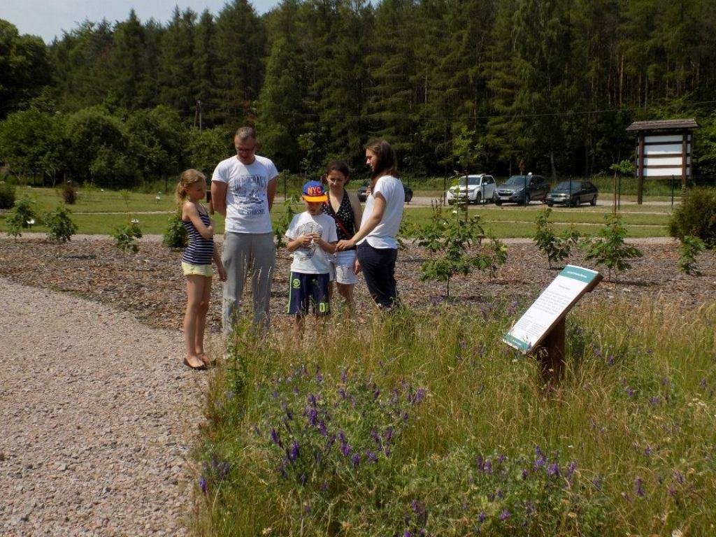 Ogrodowe Niedziele odbywają się w Leśnym Ogrodzie Botanicznym 