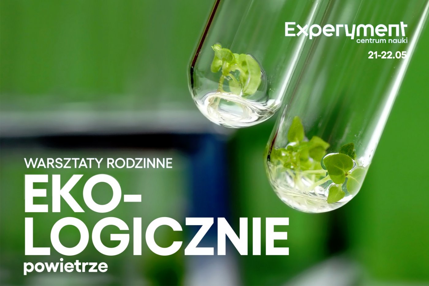 Grafika ukazuje rośliny w probówkach. W prawym górnym rogu logo CN Experyment. W lewym, dolnym rogu duży, biały napis WARSZTATY RODZINNE. EKO - logicznie. Powietrze.