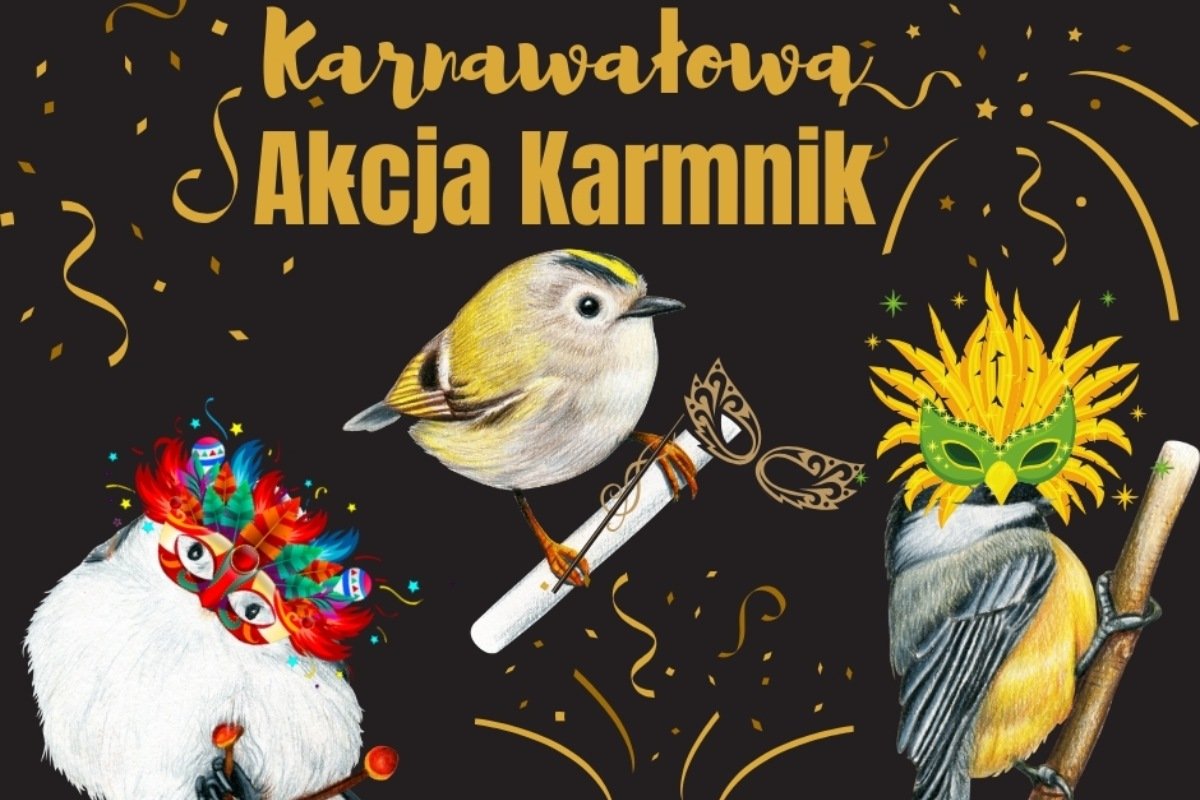Grafika promująca karnawałową odsłonę „Akcji Karmnik” // mat. Nadleśnictwa Gdańsk