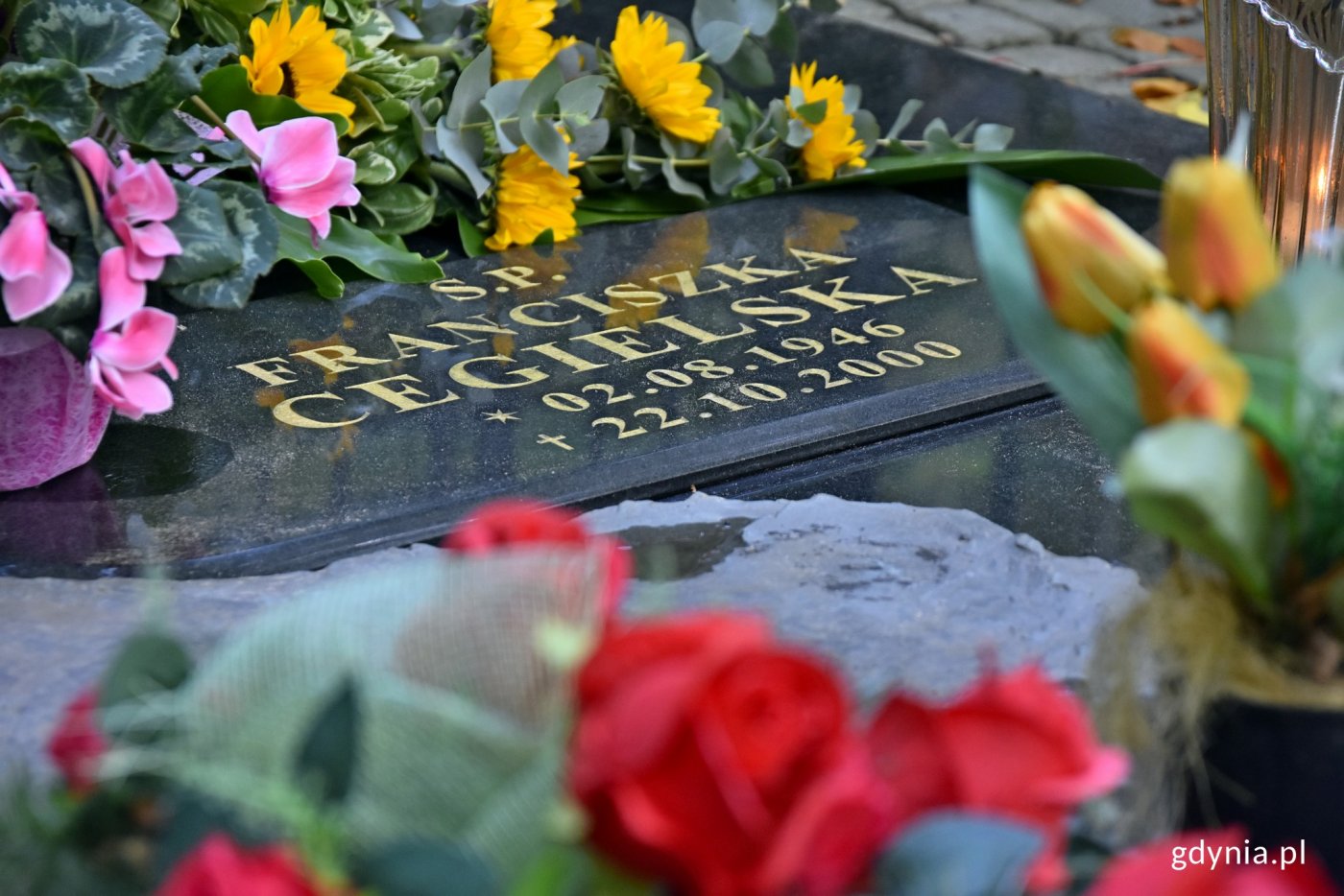 Grób Franiciszki Cegielskiej na cmentarzu witomińskim w Gdyni // fot. Marcin Mielewski