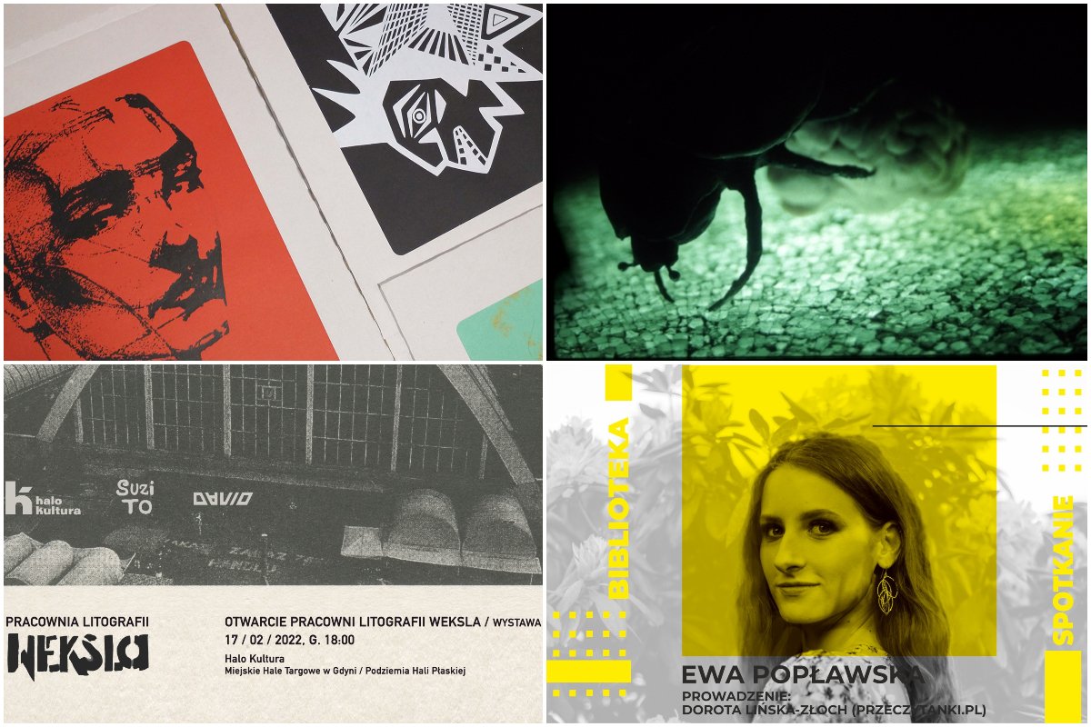 Kolaż zdjęć, od lewego górnego zgodnie z zegarem: wystawa i otwarcie przestrzeni galeryjnej na pracowni sita w Halo Kultura; wystawa fotografii i malarstwa Marcina Krawczuka w galerii GCF; spotkanie autorskie z Ewą Popławską w Bibliotece Chylonia, wystawa i otwarcie pracowni litografii Weksla w Halo Kultura. Źródło: materiały organizatorów