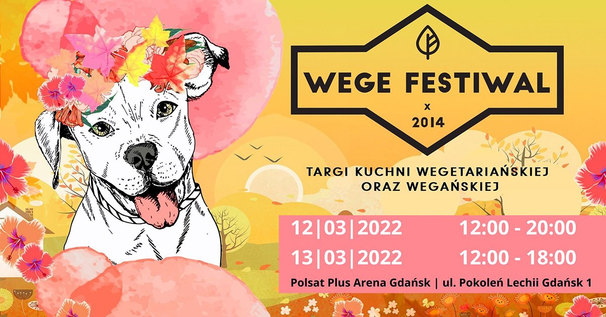 Wege Festiwal Trójmiasto. Źródło: materiały prasowe