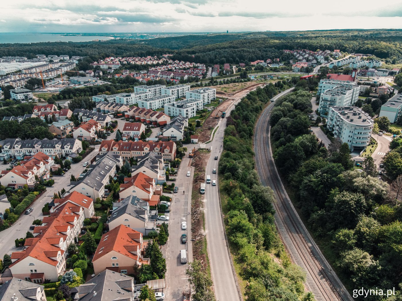 Na ul. Strzelców rozpoczęto już usuwanie drzewostanu, który zastąpi zupełnie nowy szpaler drzew, fot. Marcin Mielewski