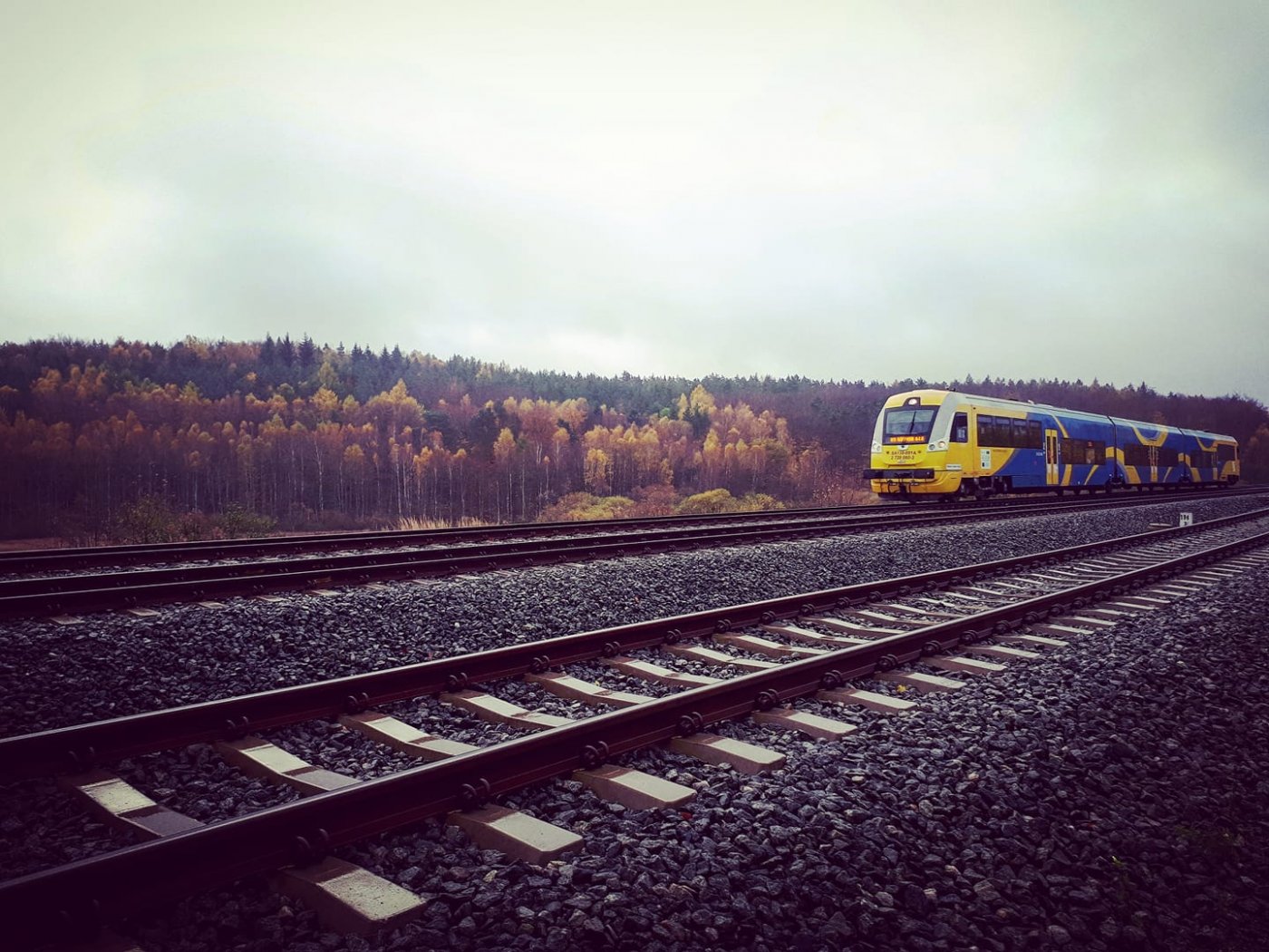 Pomorska Kolej Metropolitalna do Gdyni jedzie m.in. przez lasy na wysokości Karwin. Z okna pociągu można podziwiać przepiękne widoki // fot. Krzysztof Osipowicz (zdjęcie pochodzi z naszej facebookowej grupy Gdynia w obiektywie)