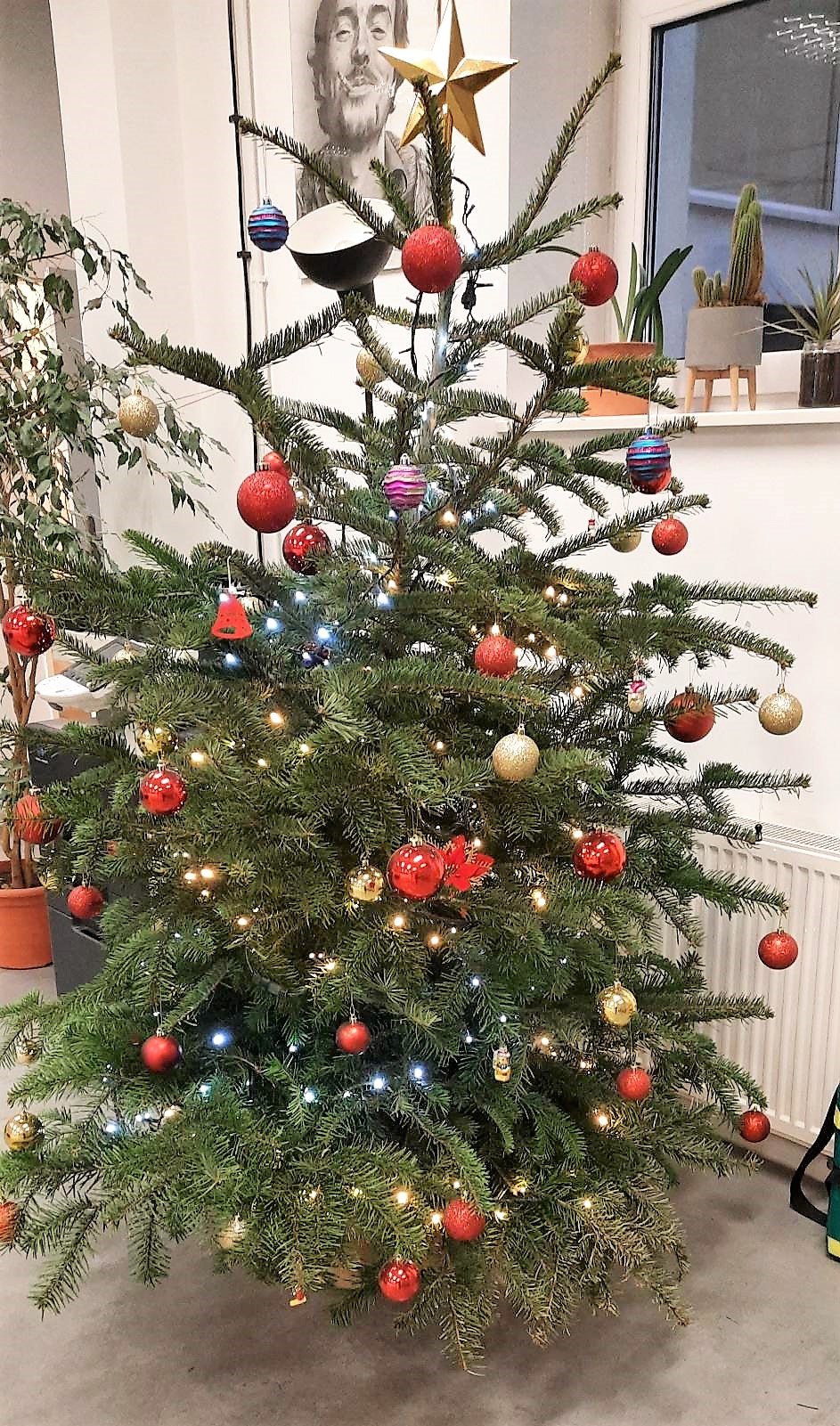 W Wymiennikowni stanęła już świąteczna choinka!