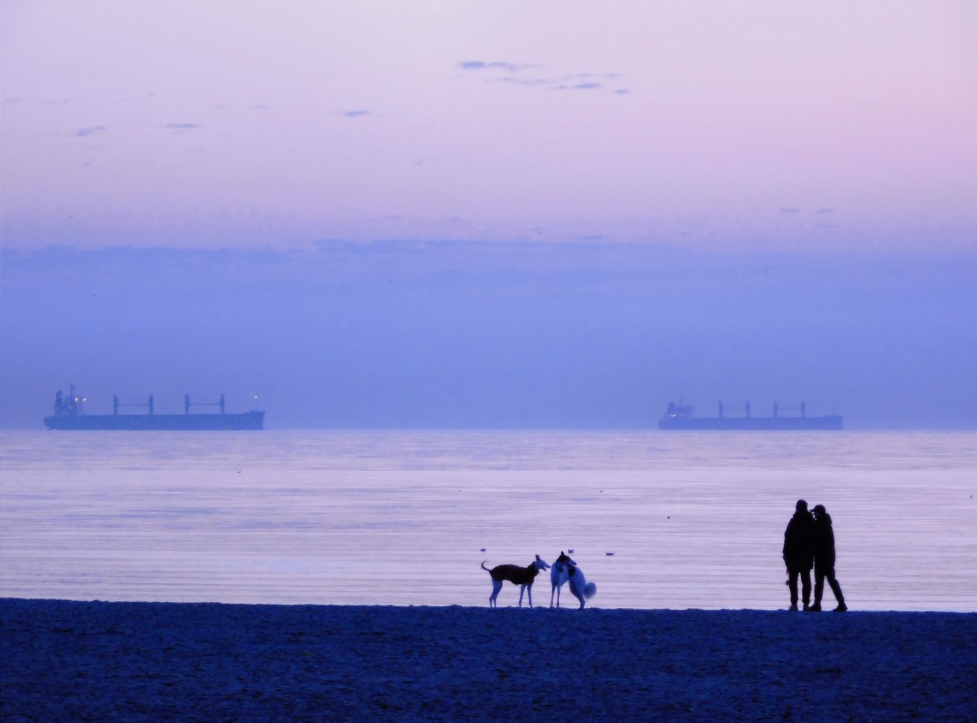 Plaża w Gdyni fot. Grzegorz Skwarliński, zdjęcie znajduje się z grupy na facebook 