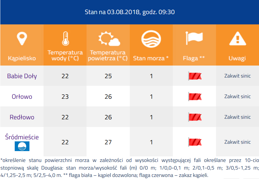 Sinice na gdyńskich plażach // screen z plaze.gdyniasport.pl