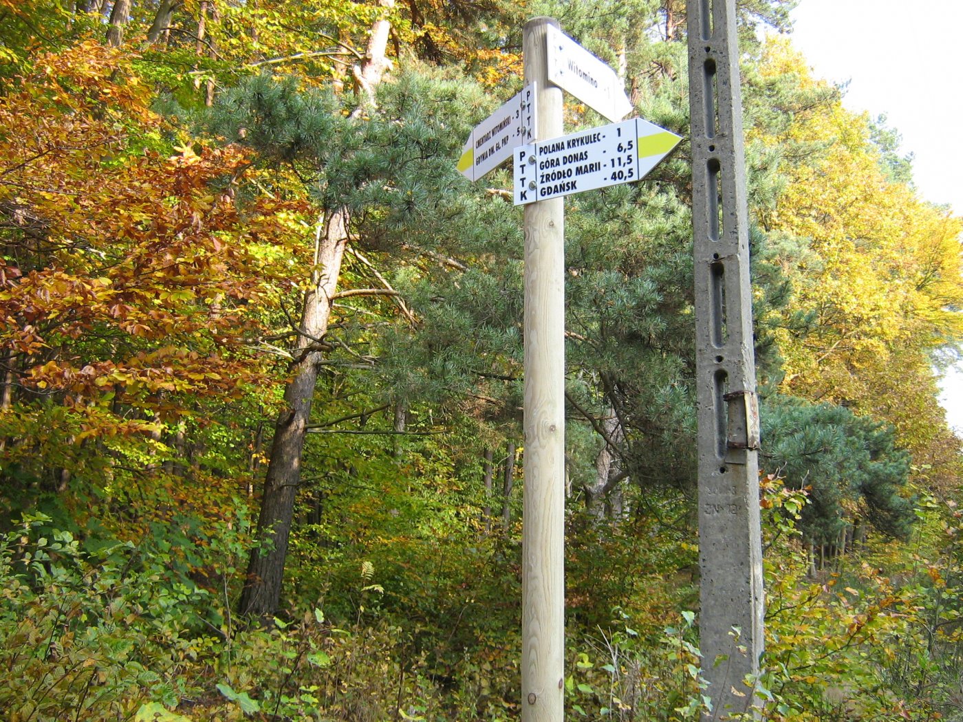 Szlak Trójmiejski, kierunkowskazy w lesie