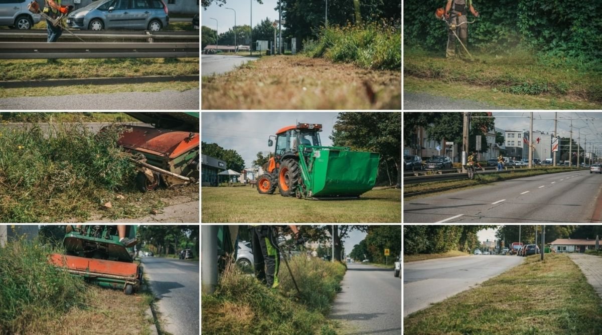 Rozpoczęło się kolejne koszenie trawników w Gdyni. (fot. ZDiZ)