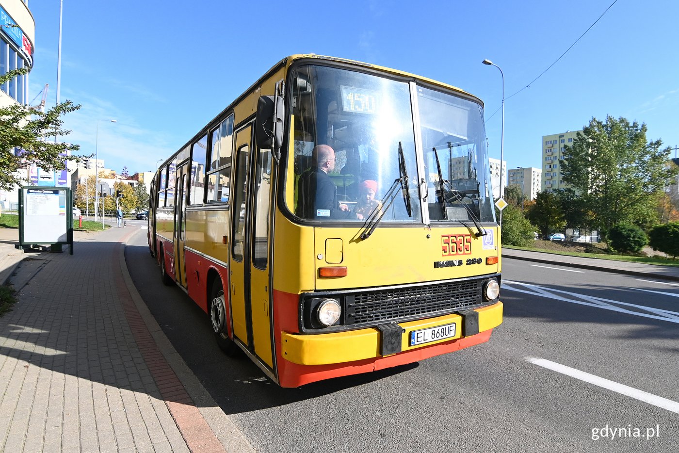 Ikarusy 280 wróciły na linię 150 z okazji 40-lecia wprowadzenia do gdyńskiej komunikacji miejskiej. Fot. Michał Puszczewicz 