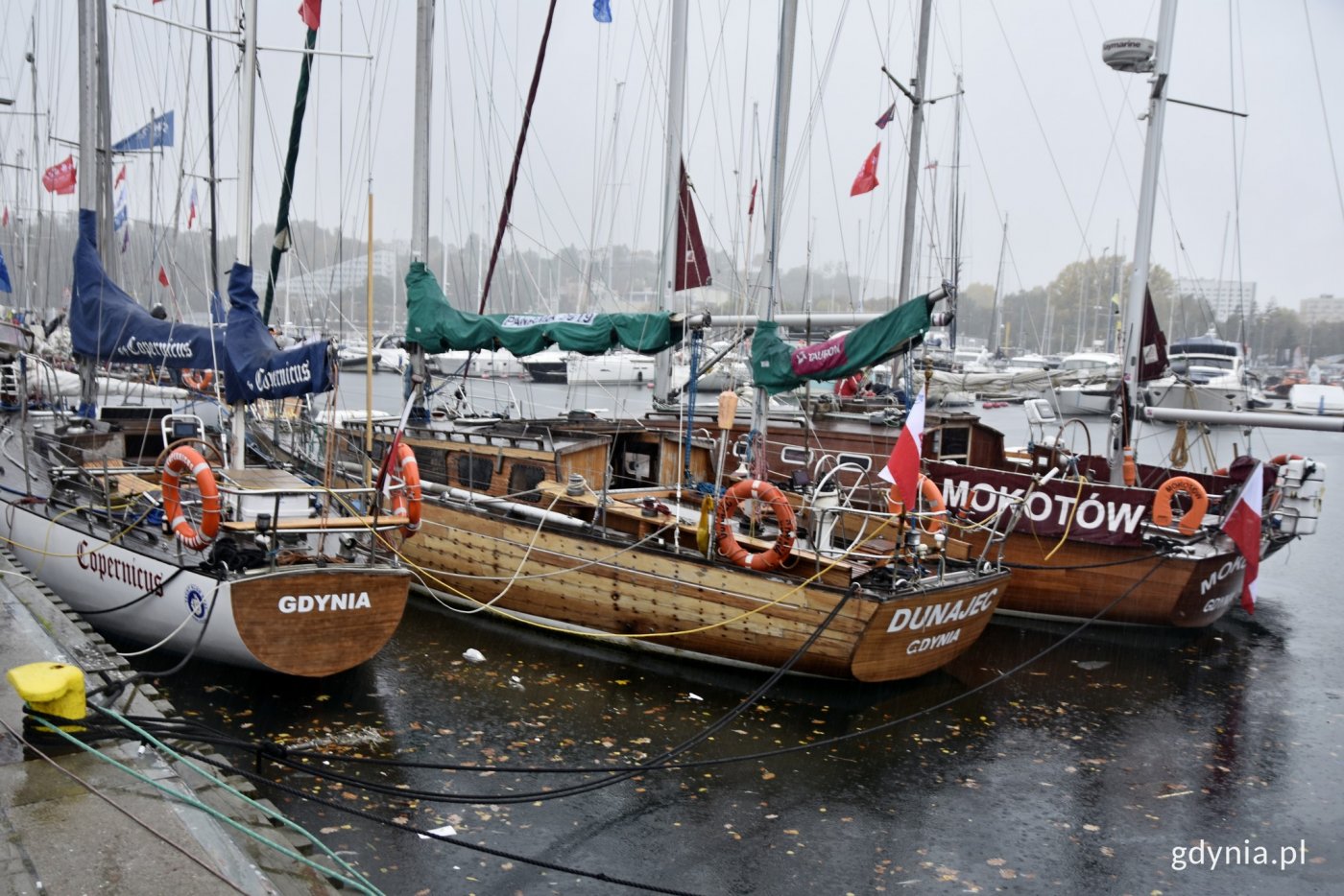 Na zdjęciu zacumowane stare, drewniane jachty. Jednostki mają opuszczone żagle, panuje deszczowa, pochmurna pogoda.