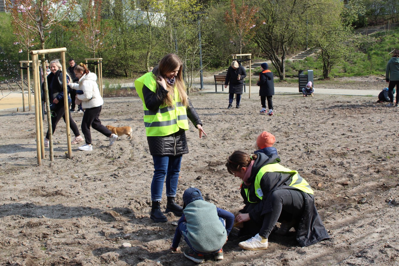 Sianie łąki kwietnej na polanie witomińskiej