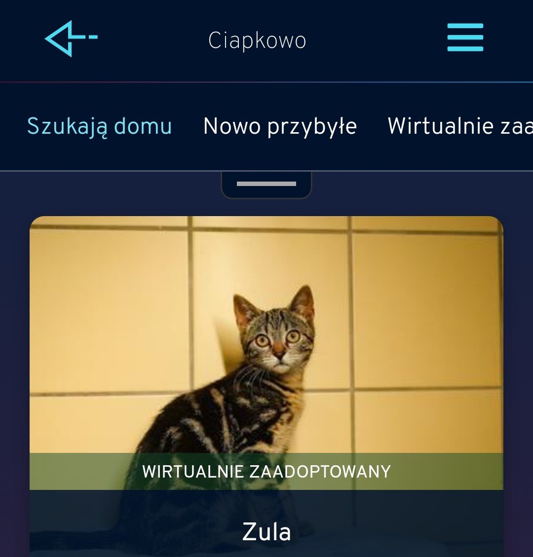 Aplikacja Gdynia.pl wzbogaciła się o moduł Ciapkowo // fot. S. Szumielewicz-Tobiasz