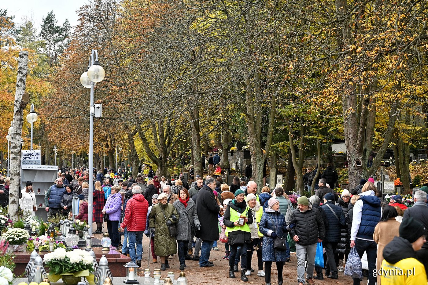 Listopadowy dzień Wszystkich Świętych wiąże się z ogromnym ruchem na cmentarzach, stąd także tymczasowe stoiska handlowe. Na zdjęciu jedna z alejek Cmentarza Witomińskiego w Gdyni (fot. Michał Puszczewicz / archiwalne)