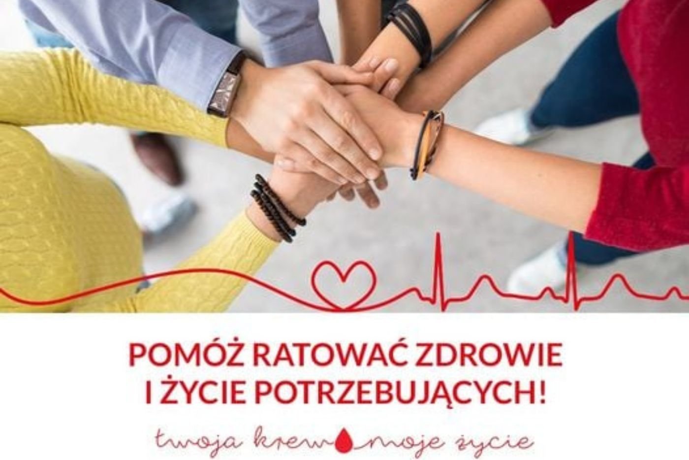 Fot. Regionalnego Centrum Krwiodawstwa i Krwiolecznictwa w Gdańsku