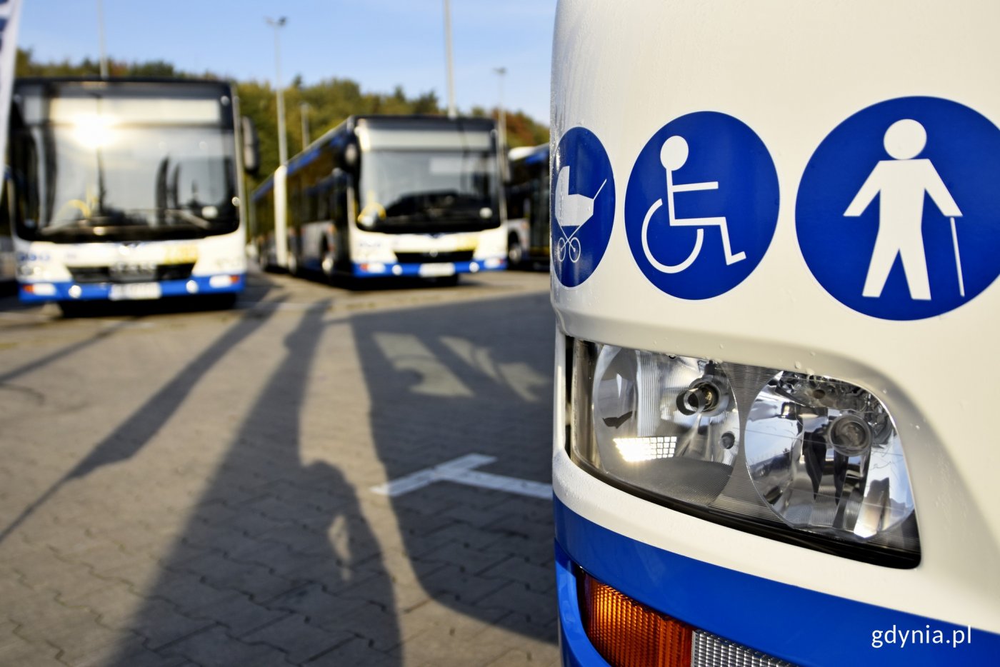 Autobusy na parkingu // fot. Kamil Złoch