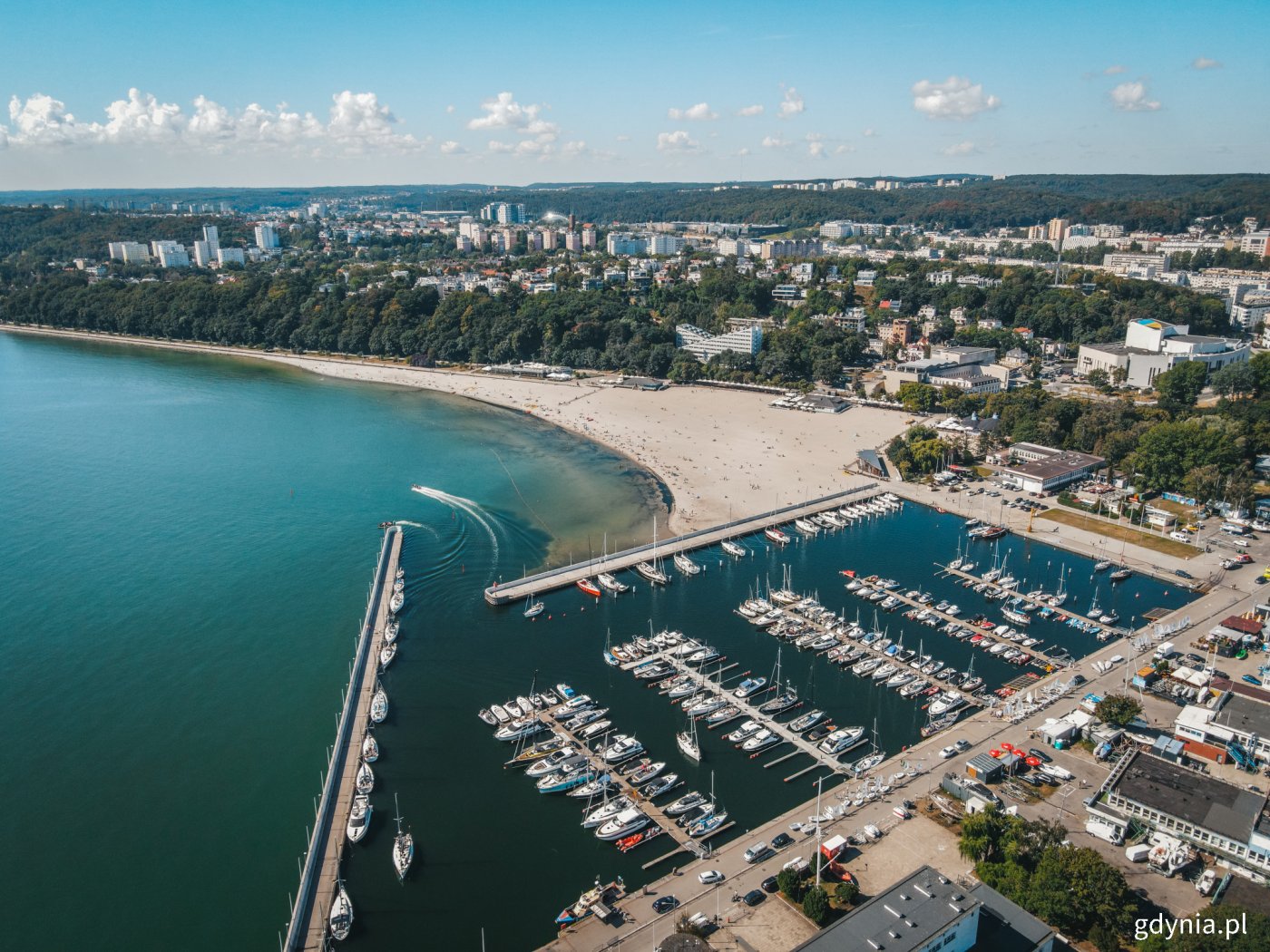 Gdyńska plaża w Śródmieściu - z daleka w pobliżu brzegu widoczne są zakwity sinic, które uniemożliwiają kąpiel. To sezonowe zjawisko, które w tym roku przypadło wyjątkowo późno, fot. Marcin Mielewski