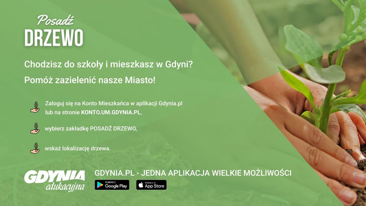 Gdynia reaguje na zmiany klimatyczne i chce ograniczyć ich wpływ na miasto. Dlatego realizuje m.in. projekt edukacyjny „Posadź drzewo”.