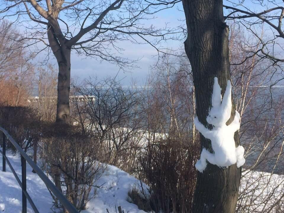 W święta aura będzie zmienna, z opadami deszczu, deszczu ze śniegiem i śniegu // fot. Joanna Pawlus