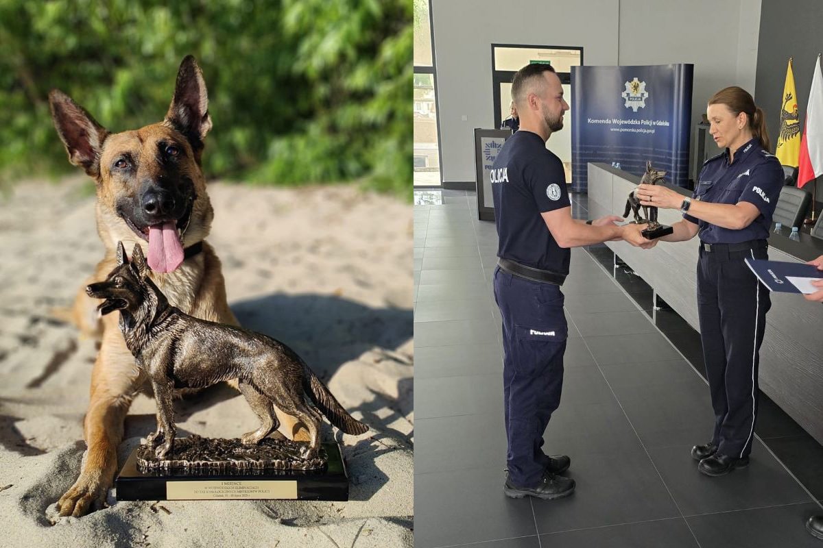 Po trzech dniach zmagań zwyciężyli asp. Jacek Werbiński i jego pies Szogun z KMP w Gdyni (fot. KM Policji w Gdyni)