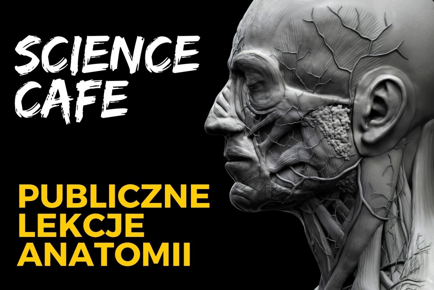 Spotkanie dla dorosłych. Wykład Pauliny Łopatniuk pod tytułem: 