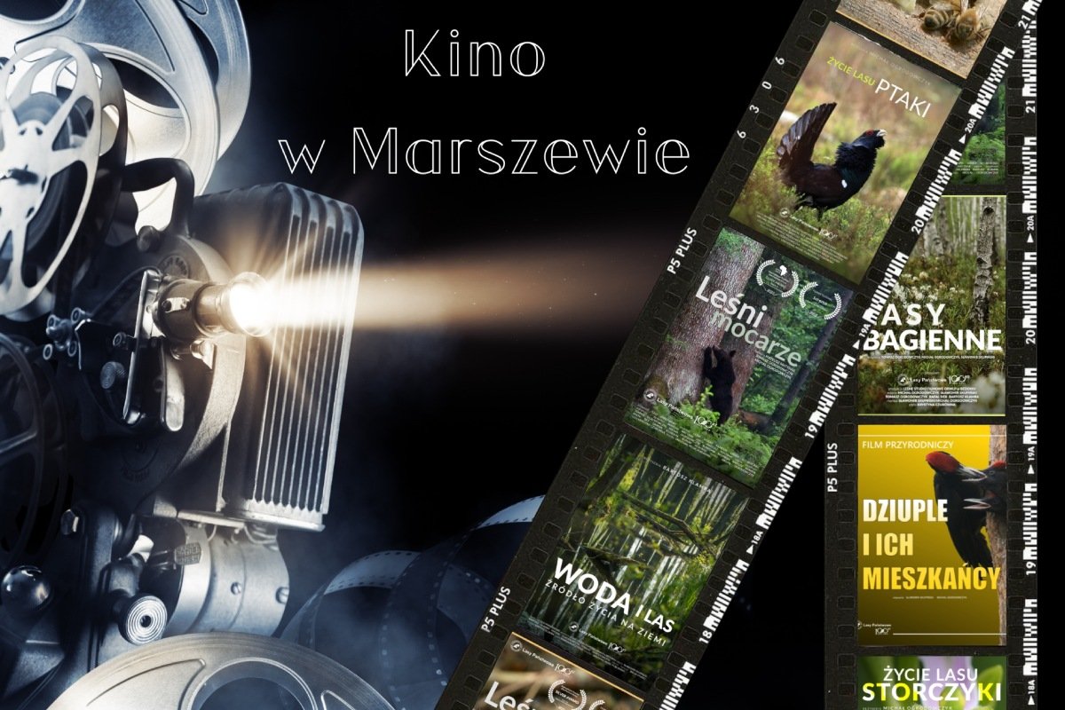 Grafika promująca kino w „Marszewie” (materiały prasowe)