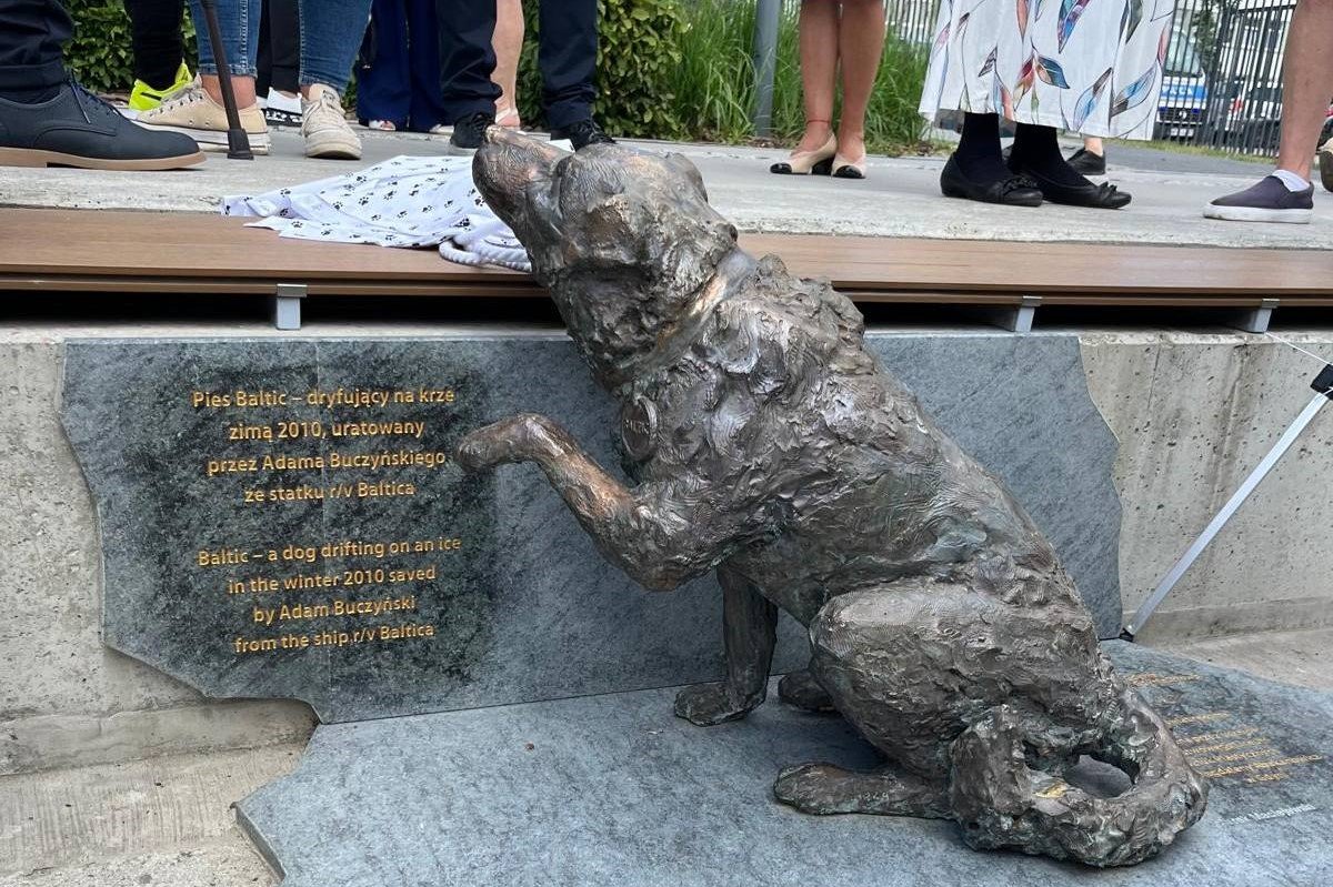 Rzeźba Baltica jest czwartą, która powstała w ramach akcji 