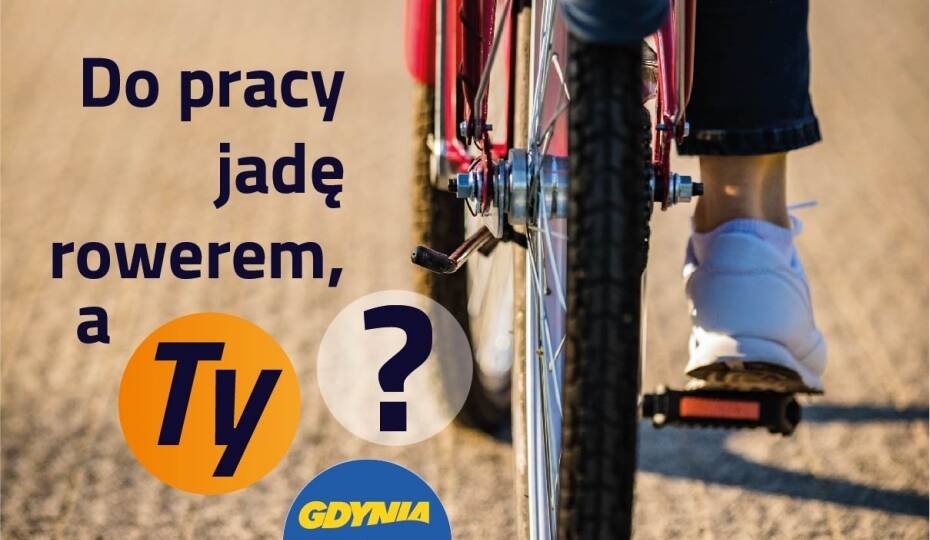 Jedenasta edycja 