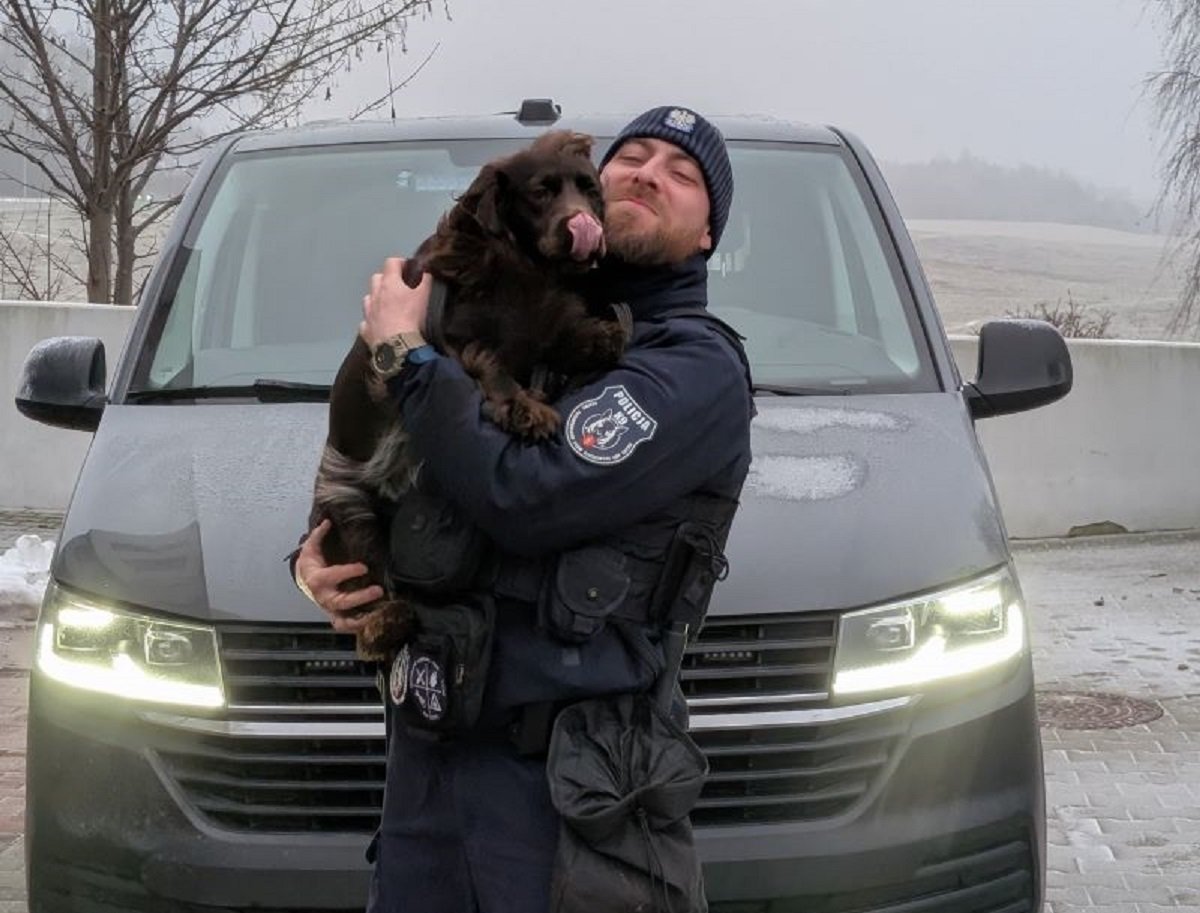 Leosia, służbowo nazywana Taxa, to niezwykły pies pracujący w gdyńskiej policji, specjalizujący się w wykrywaniu zapachu materiałów wybuchowych. (fot. Komenda Miejska Policji w Gdyni)