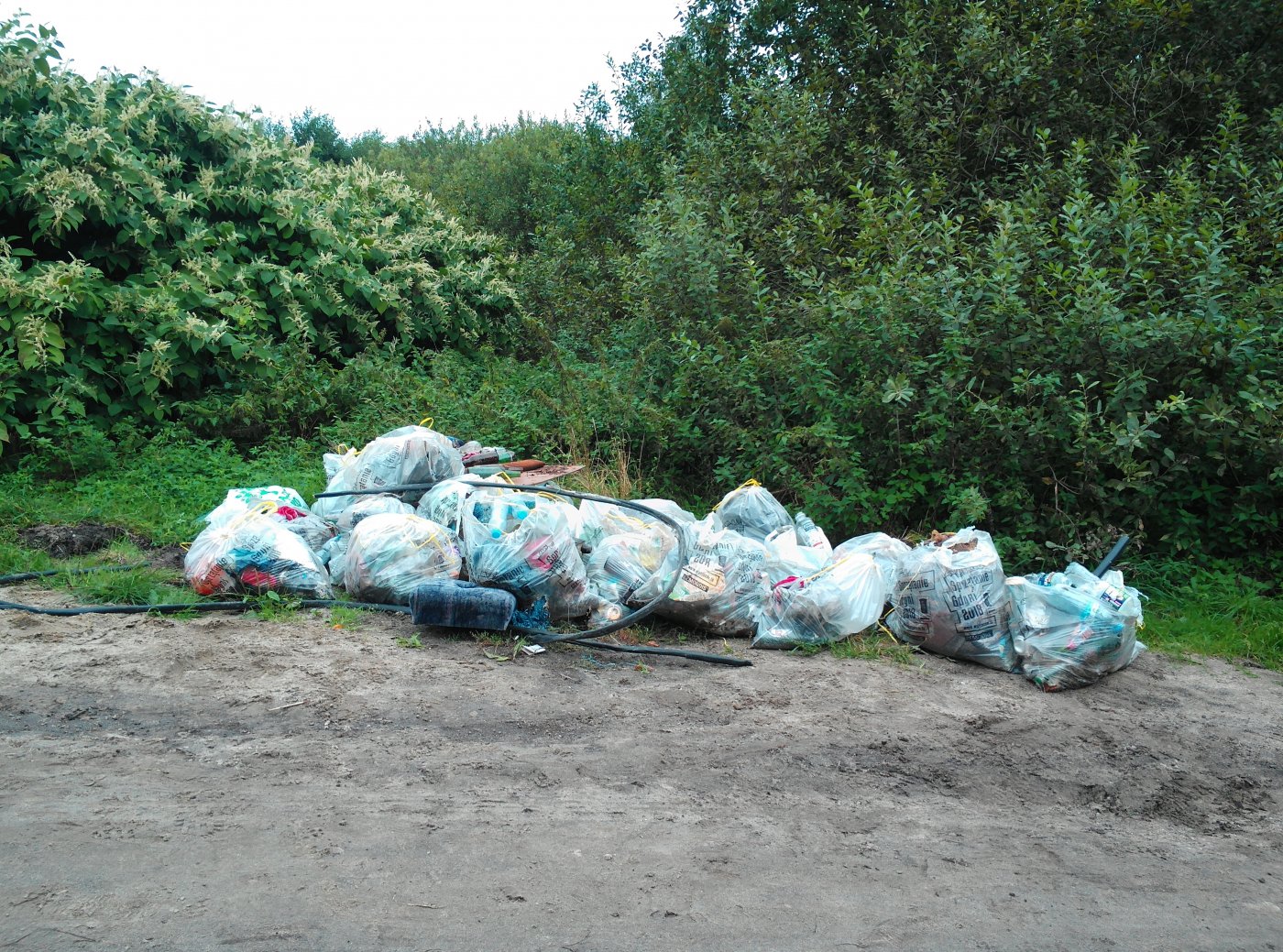 Sprzątanie Źródlisk Chylonki podczas akcji Sprzątanie Gdyni 2019. Na pierwszym planie: odpady w workach zebrane podczas akcji, ułożone w jednym miejscu. (fot. Anna Bubel)