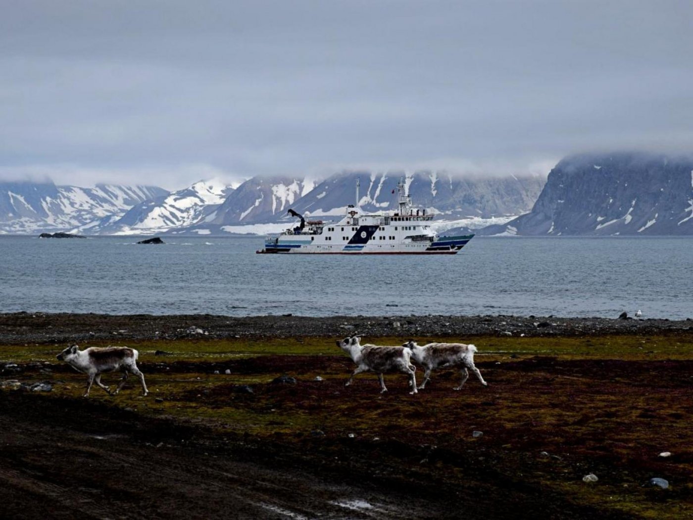Horyzont II, statek naukowo-badawczy Uniwersytetu Morskiego podczas rejsu na Spitsbergen, fot. H. Żywiec, A. Winnicki / Uniwersytet Morski w Gdyni