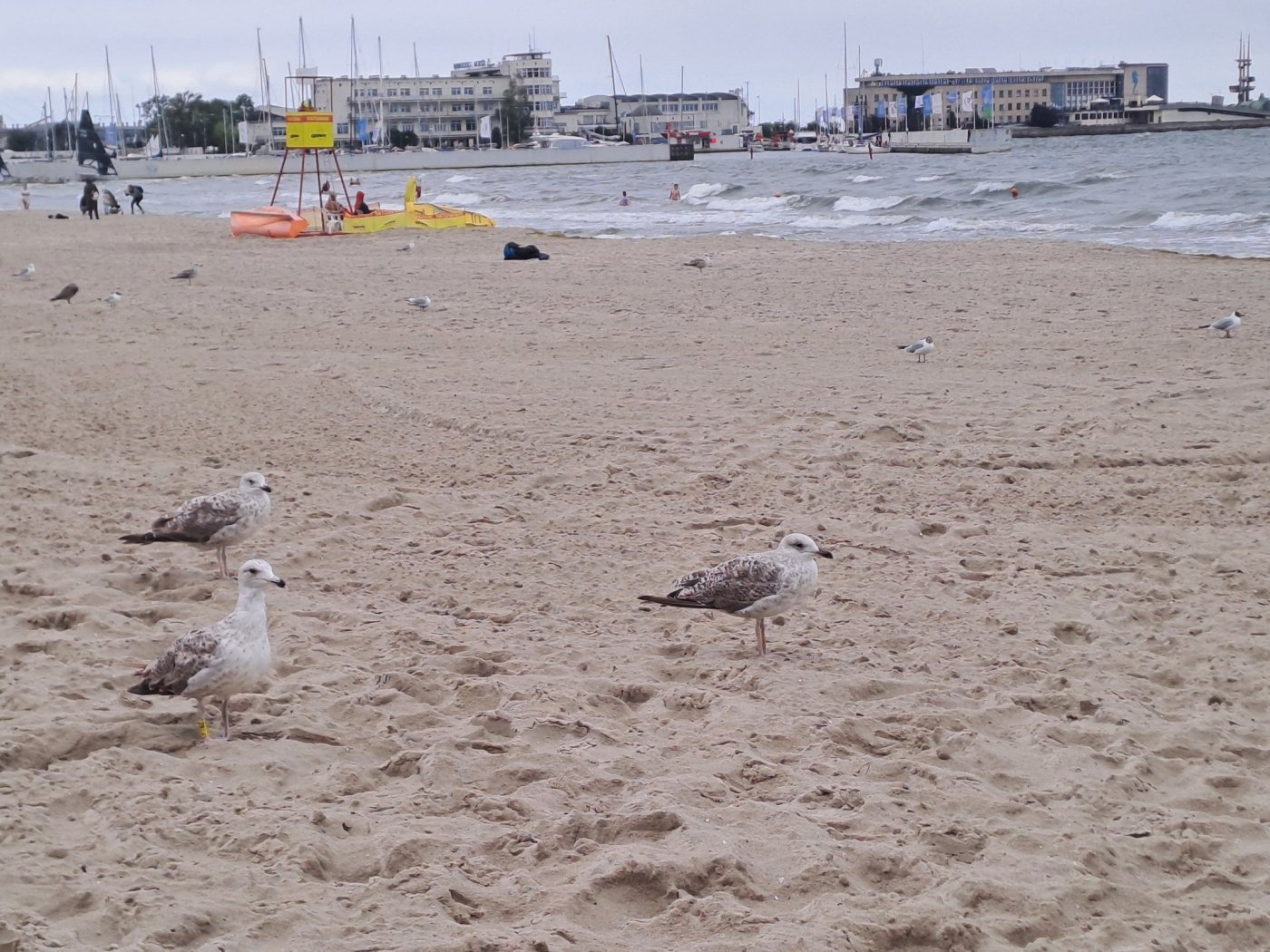 Nawet w pochmurny dzień spacer gdyńską plażą to przyjemność (fot. Kalina Ariana Alia z naszej grupy Fb Gdynia w obiektywie)