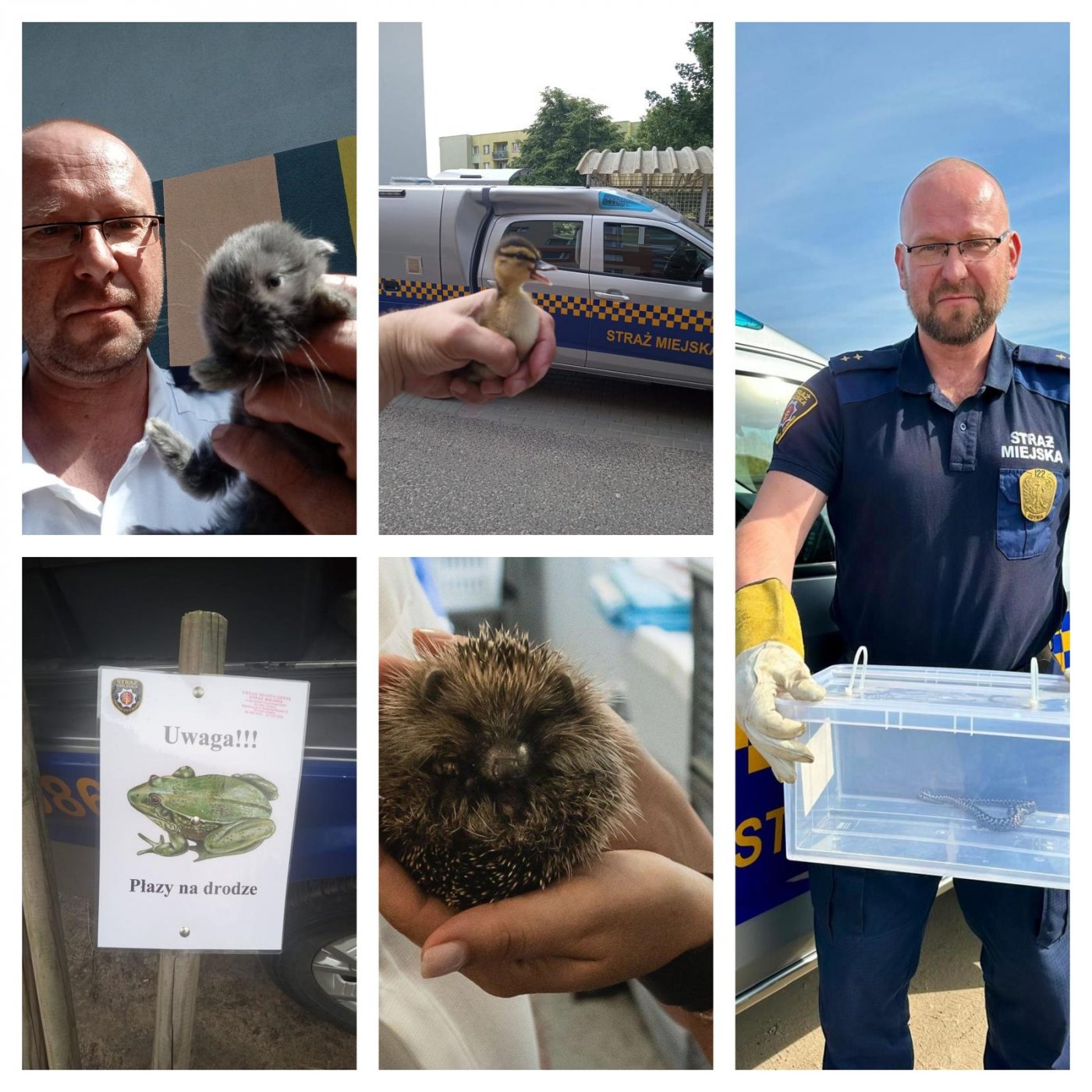 Zwierzęta uratowane przez EkoPatrol (fot. Leonard Wawrzyniak)