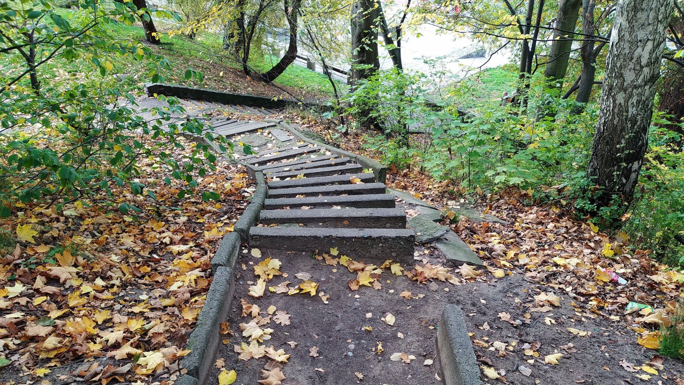 schody z kostki na terenie leśnym, liście