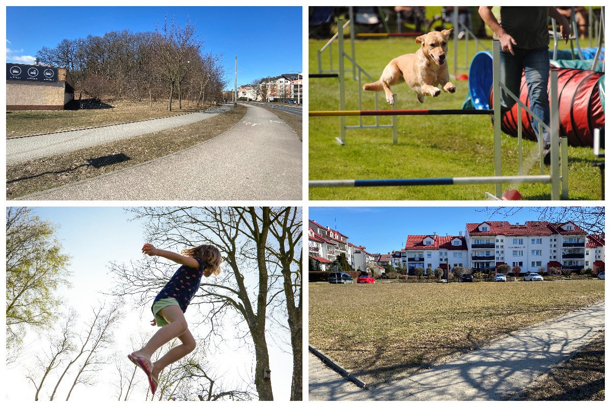 Kolaż zdjęć: działki, na których powstanie wybieg z torem agility oraz park trampolin ziemnych, skaczące dziecko, pies pokonujący przeszkodę // fot. ZDiZ, pixabay.com
