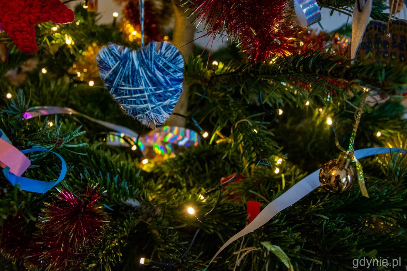 Naturalne choinki bożonarodzeniowe odbierane będą w styczniu i lutym razem z odpadami zielonymi (fot. Paweł Kukla / archiwum)