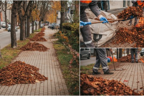 Pracownicy porządkują chodniki i zbierają liście na ul. Witomińskiej (fot. Marcin Mielewski)
