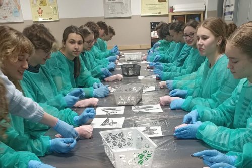 Festiwal Nauki w Gdyni odbył się szkołach średnich. Na zdjęciu warsztaty anatomiczno-chirurgicznych, szycie chirurgiczne w II LO (fot. II LO)
