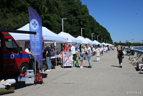 Stoiska gdyńskich organizacji pozarządowych ustawione wzdłuż bulwaru Nadmorskiego w ramach Gdyńskiego Pikniku Pozarządowego (fot. Michał Puszczewicz)