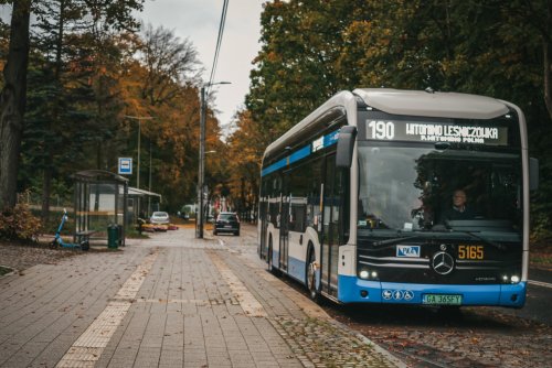 Linia 190 pojedzie ulicą Hodowlaną na Witominie (fot. Marcin Mielewski)