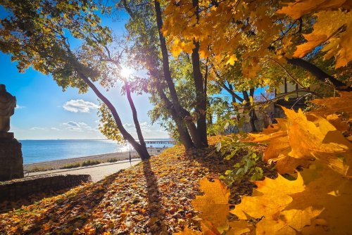 W Gdyni jesień w pełni. Zdjęcie z naszej grupy na FB „Gdynia w obiektywie