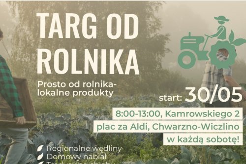 Grafika organizatora.