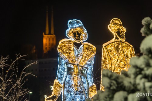 IIuminacje w Parku Centralnym (fot. Paweł Budziński) 