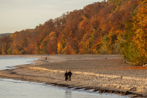 Gdyńska jesień, spacer nad morzem w Orłowie (fot. Karol Stańczak/archiwum)