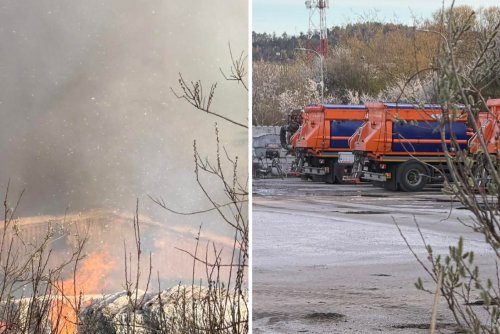 Ogień wybuchł w pobliżu bazy LIZUD (fot. Marcin Mielewski / ZDM)